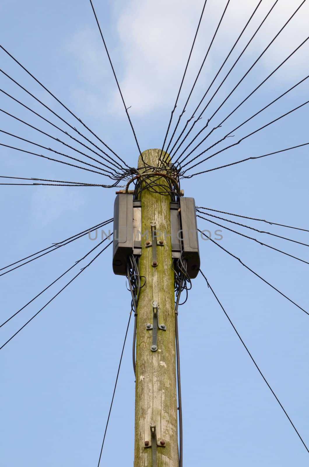 Wires going of in different directions from a telephone pole