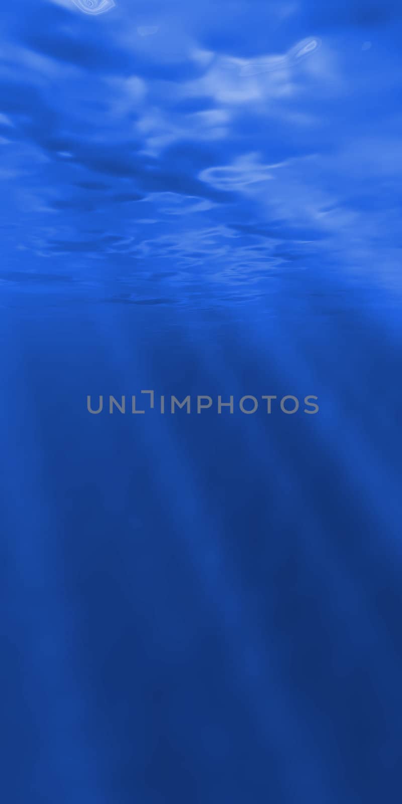 Underwater view