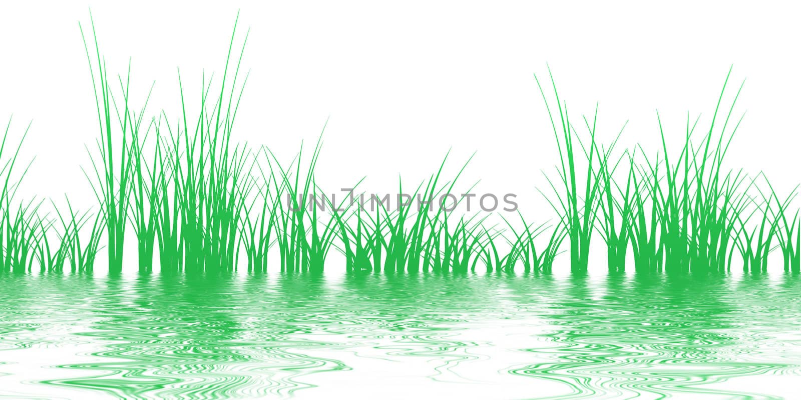 Grass on the water