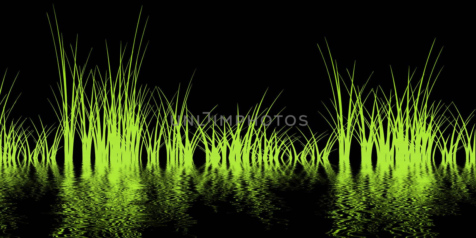 Grass. by MartMartov