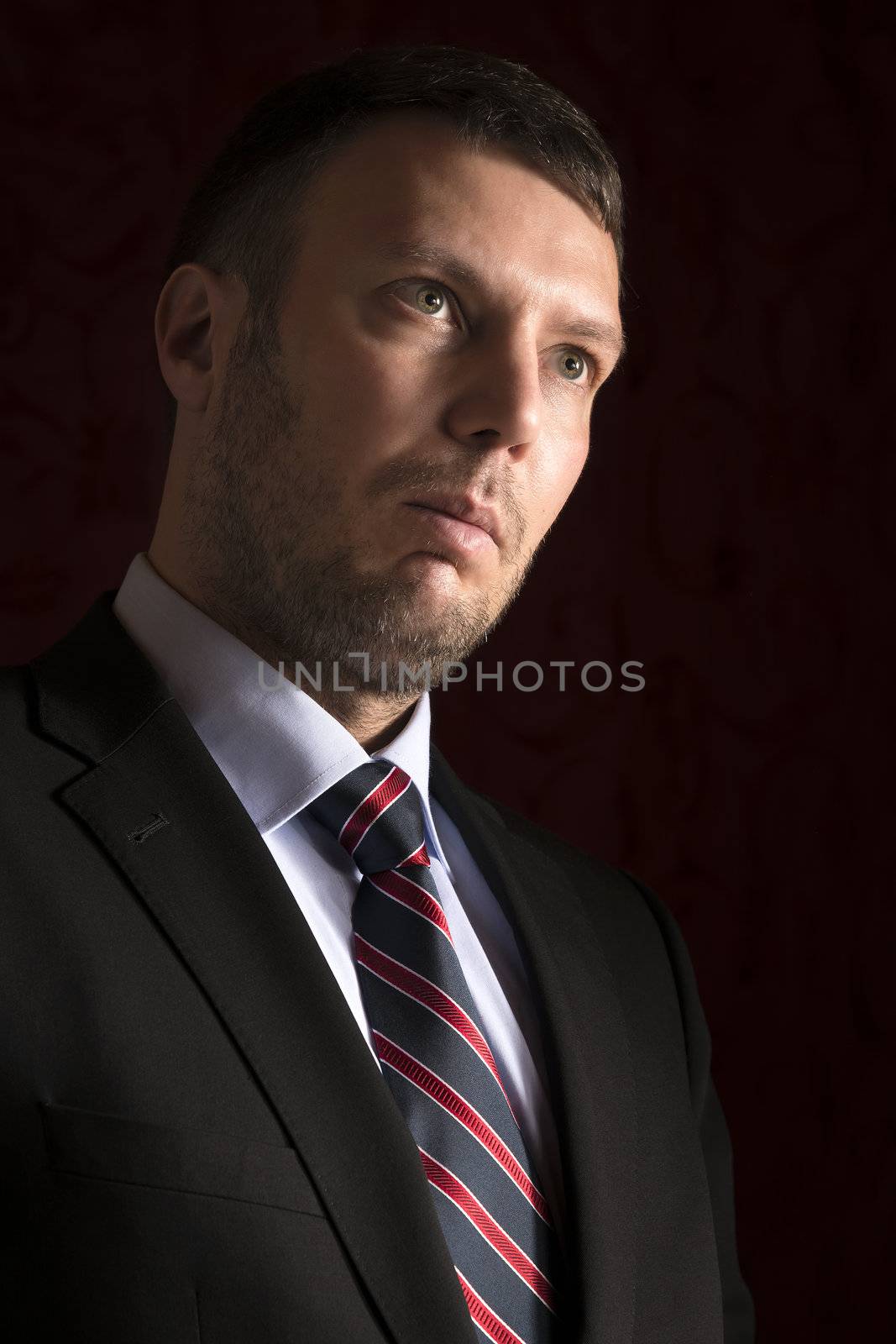 Portrait of a powerful, legant man with suit and tie
