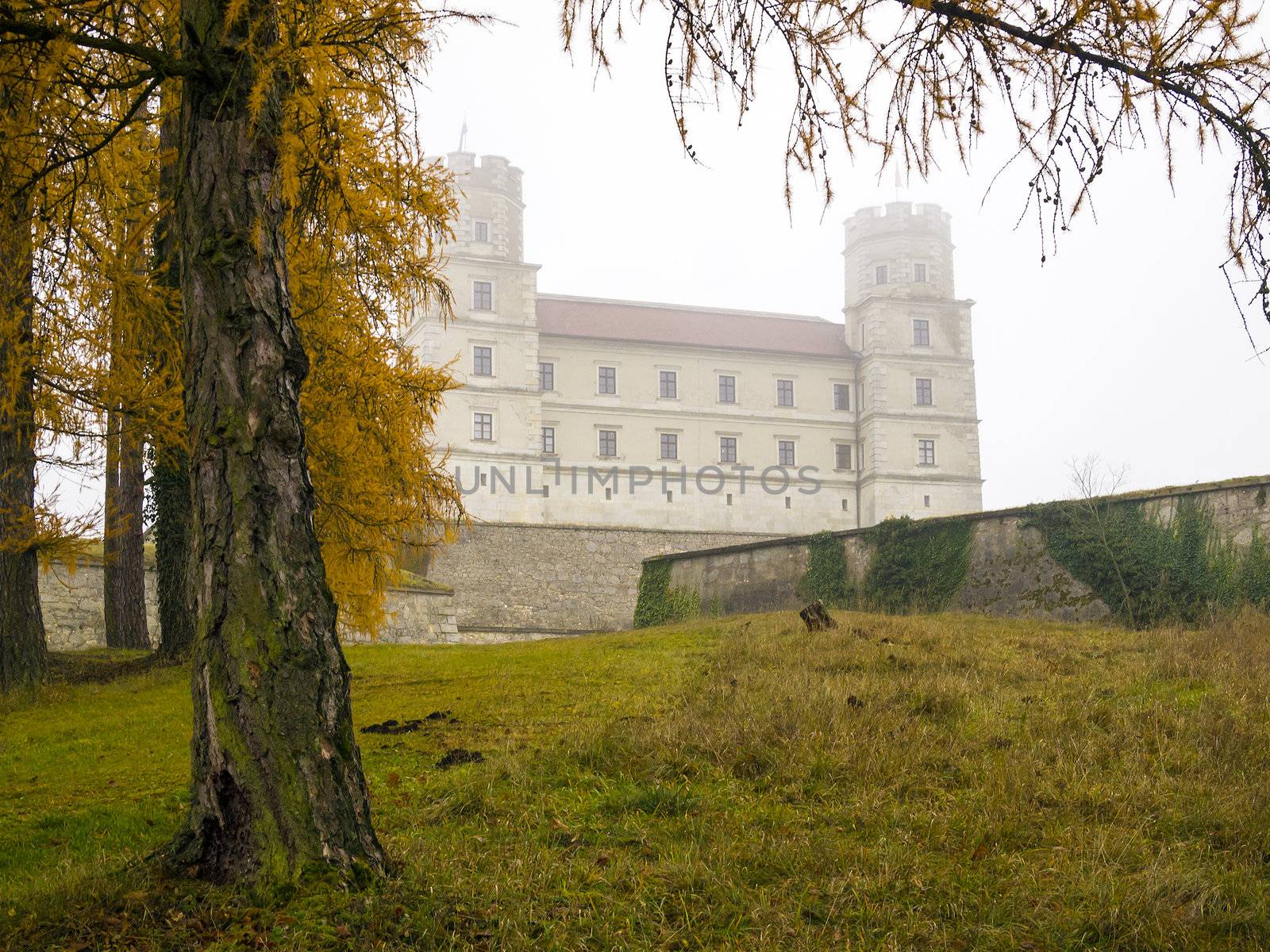 Castle with tree and gras in the mist