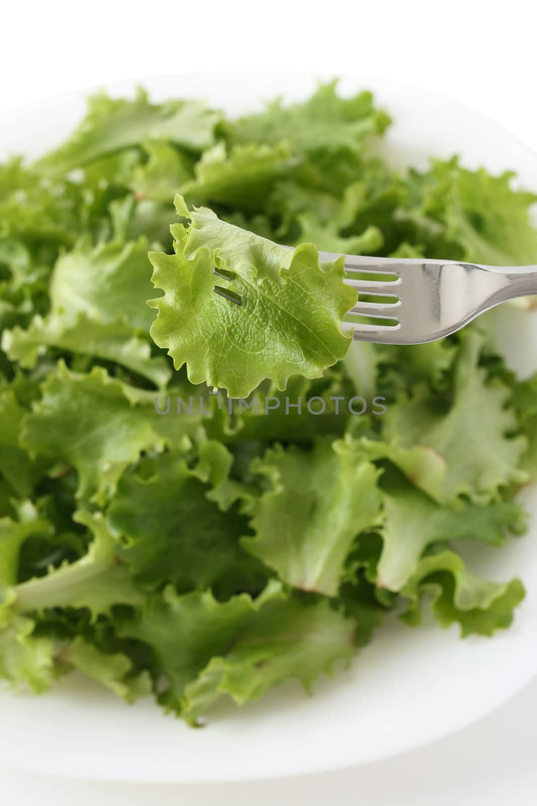 salad on the plate by nataliamylova