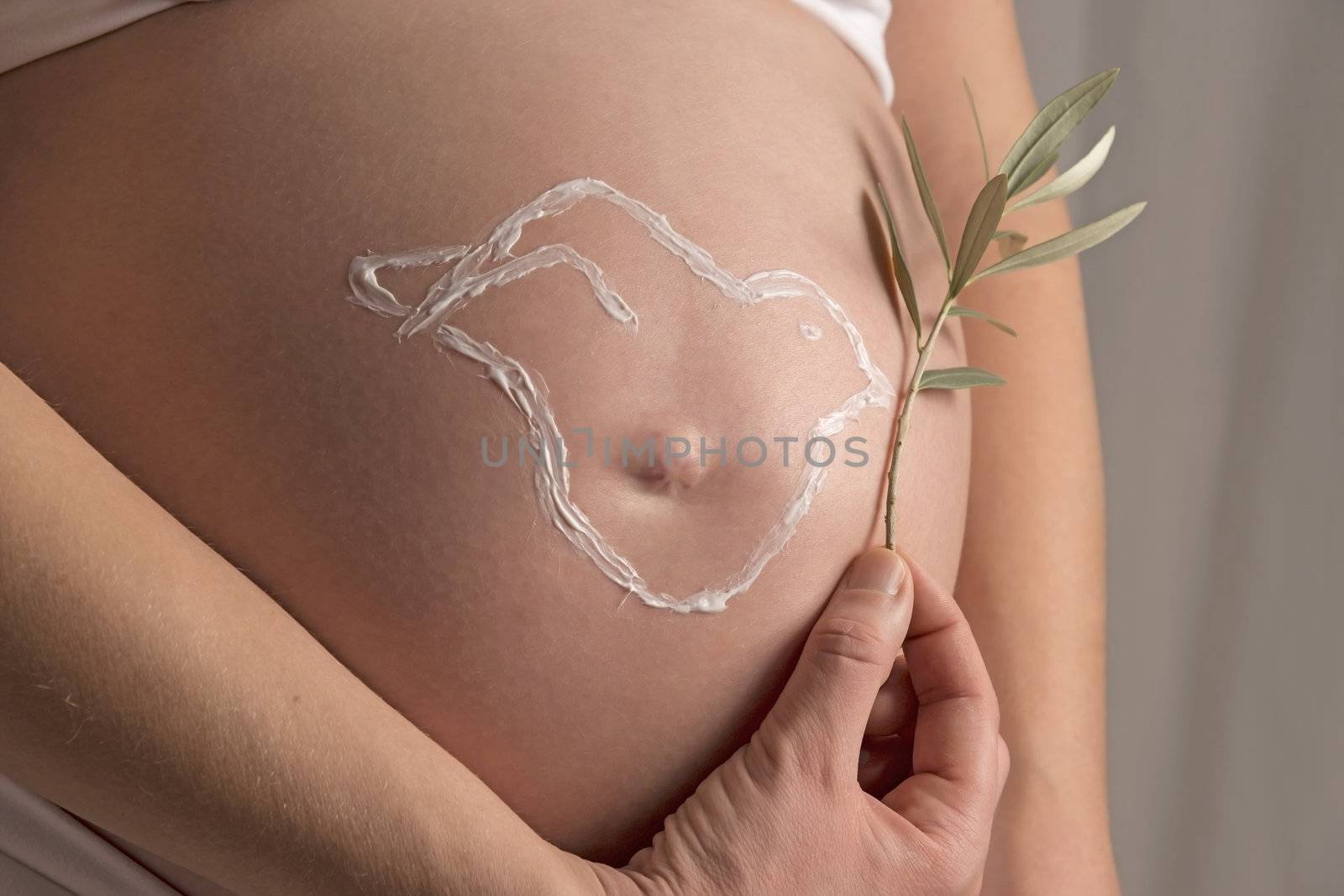 Pregnant woman is holding an olive branch on the creme pigeon of her baby bump