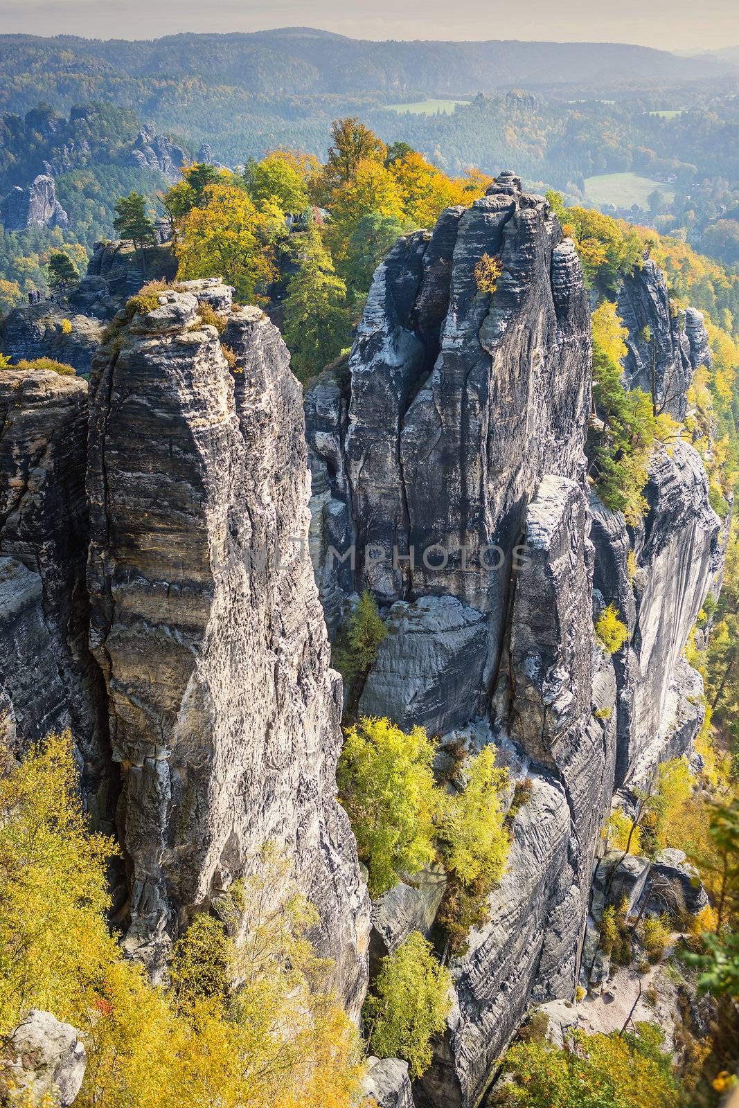 Stones and rocks in Saxon Switzerland Germany on a sunny day in autumn