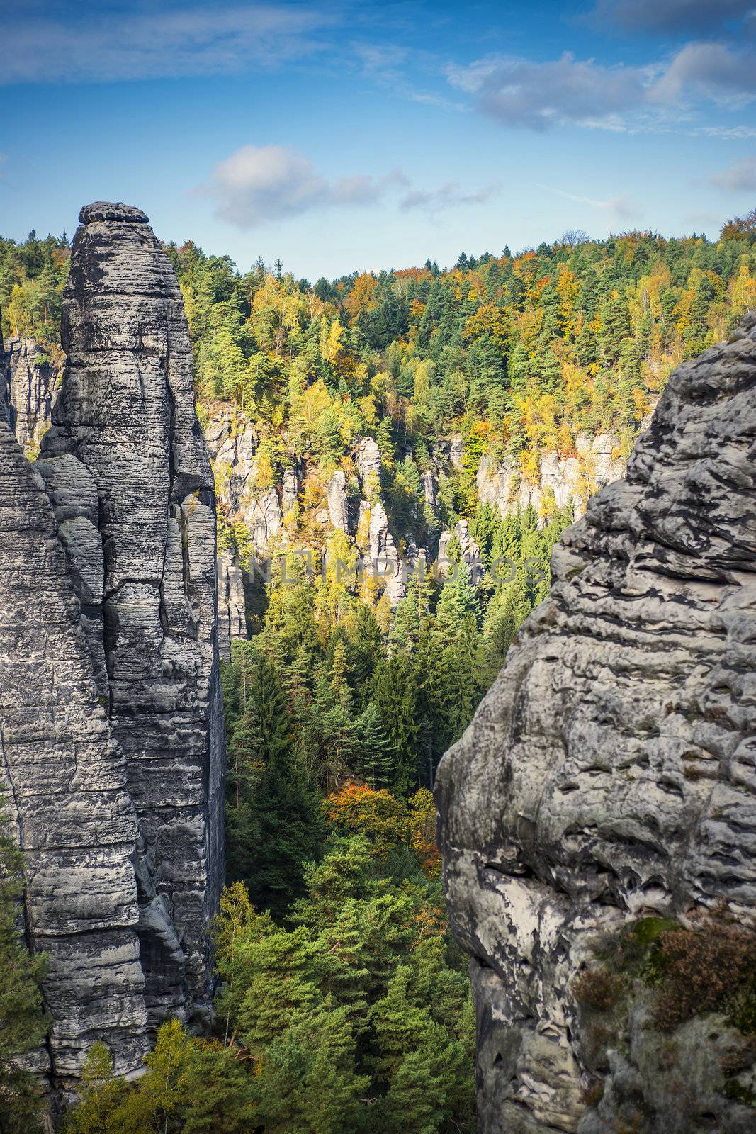 Rocks and colored leaves in Saxon Switzerland on a sunny day in autoumn