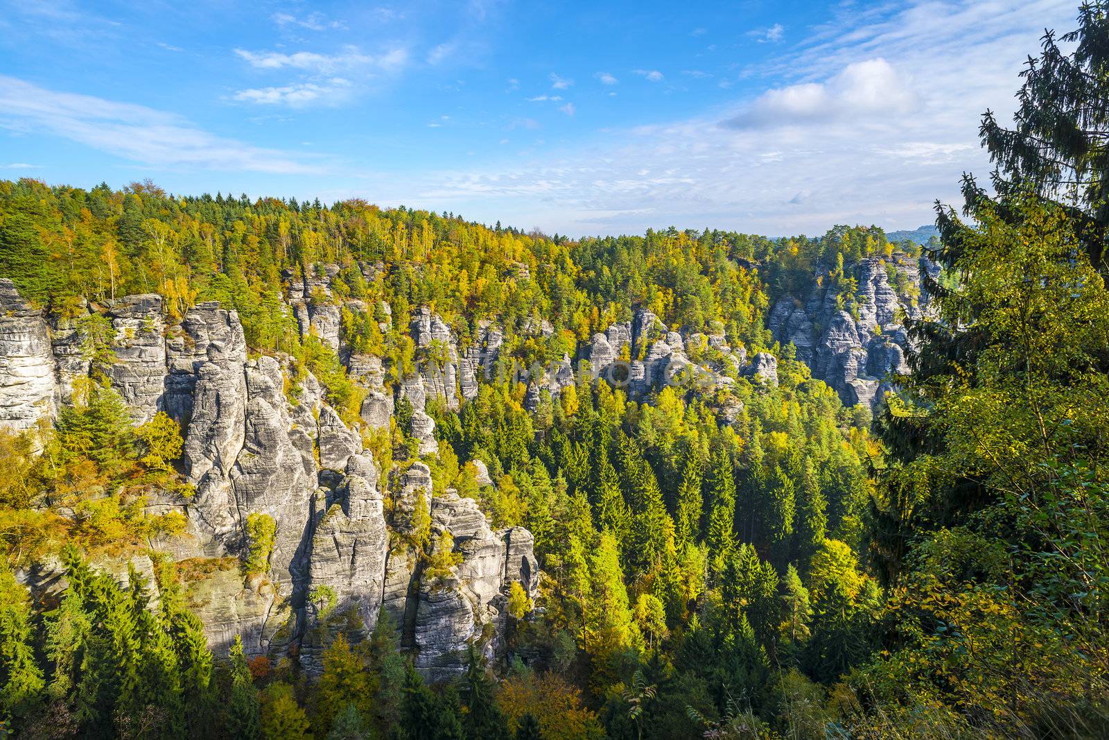 Lanscape with colored trees  in Saxon Switzerland near Bastei in autumn on a sunny day