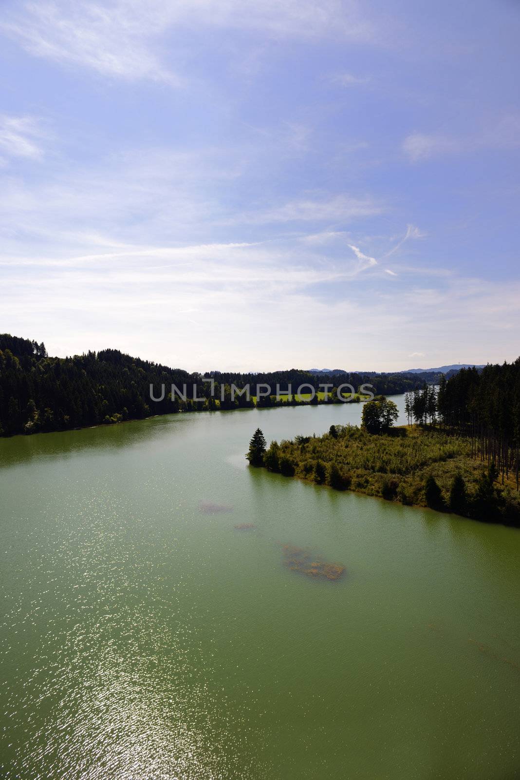 River with green colored water, woods and blue sky and white clouds on a summer sunny day.