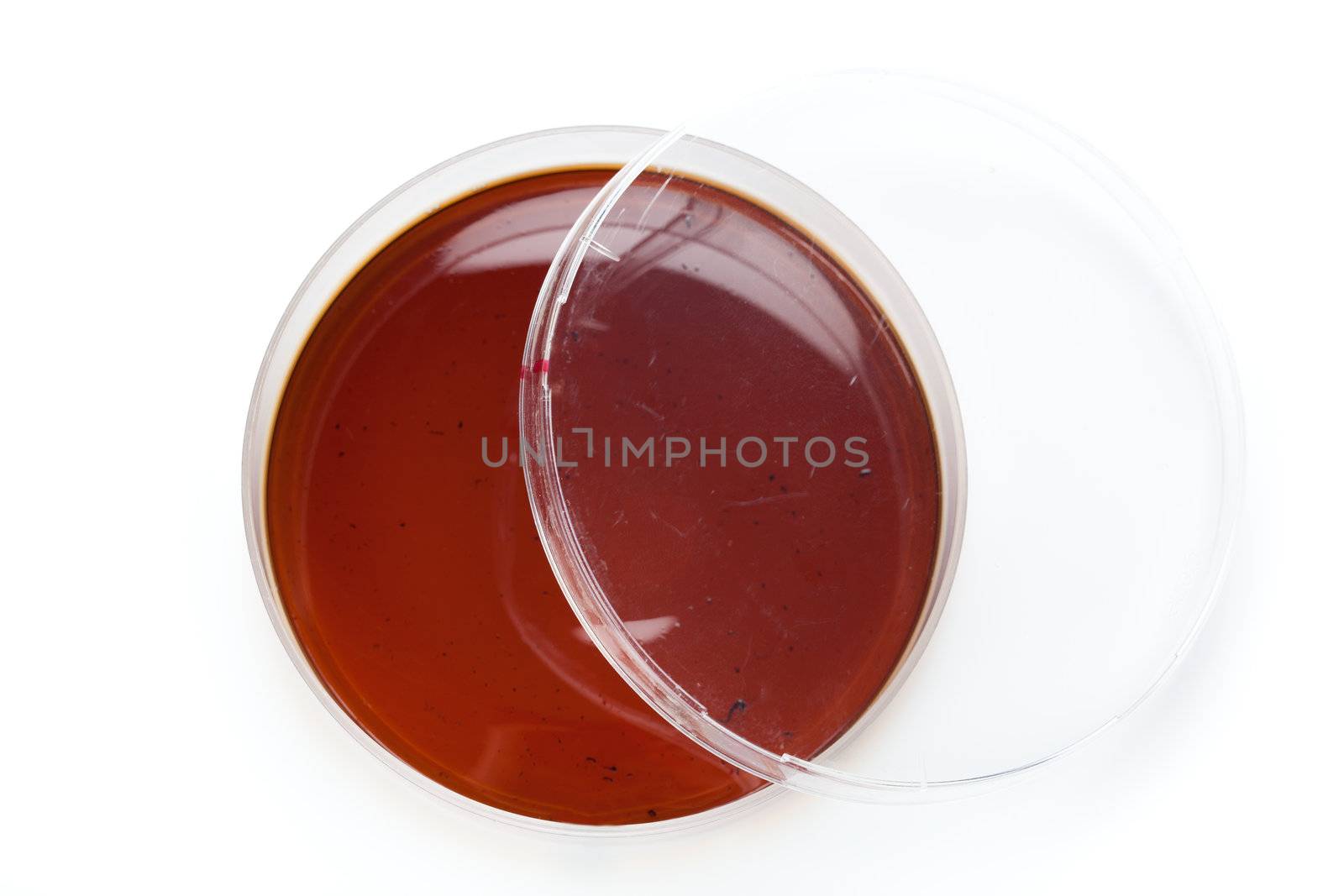 a Petri dish, on white background