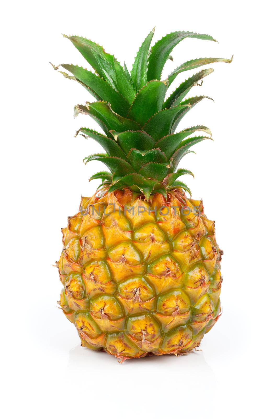 Pineapple isolated on white background.