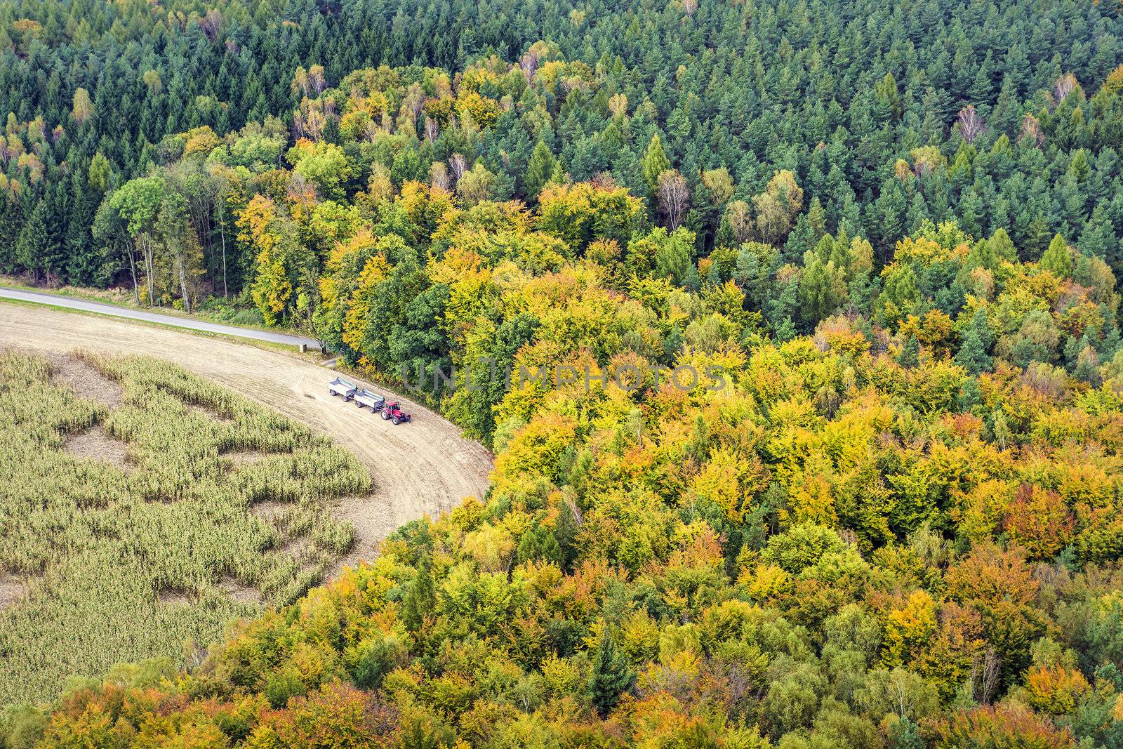 Red tractor on field with colored trees in autumn in Saxony Switzerland