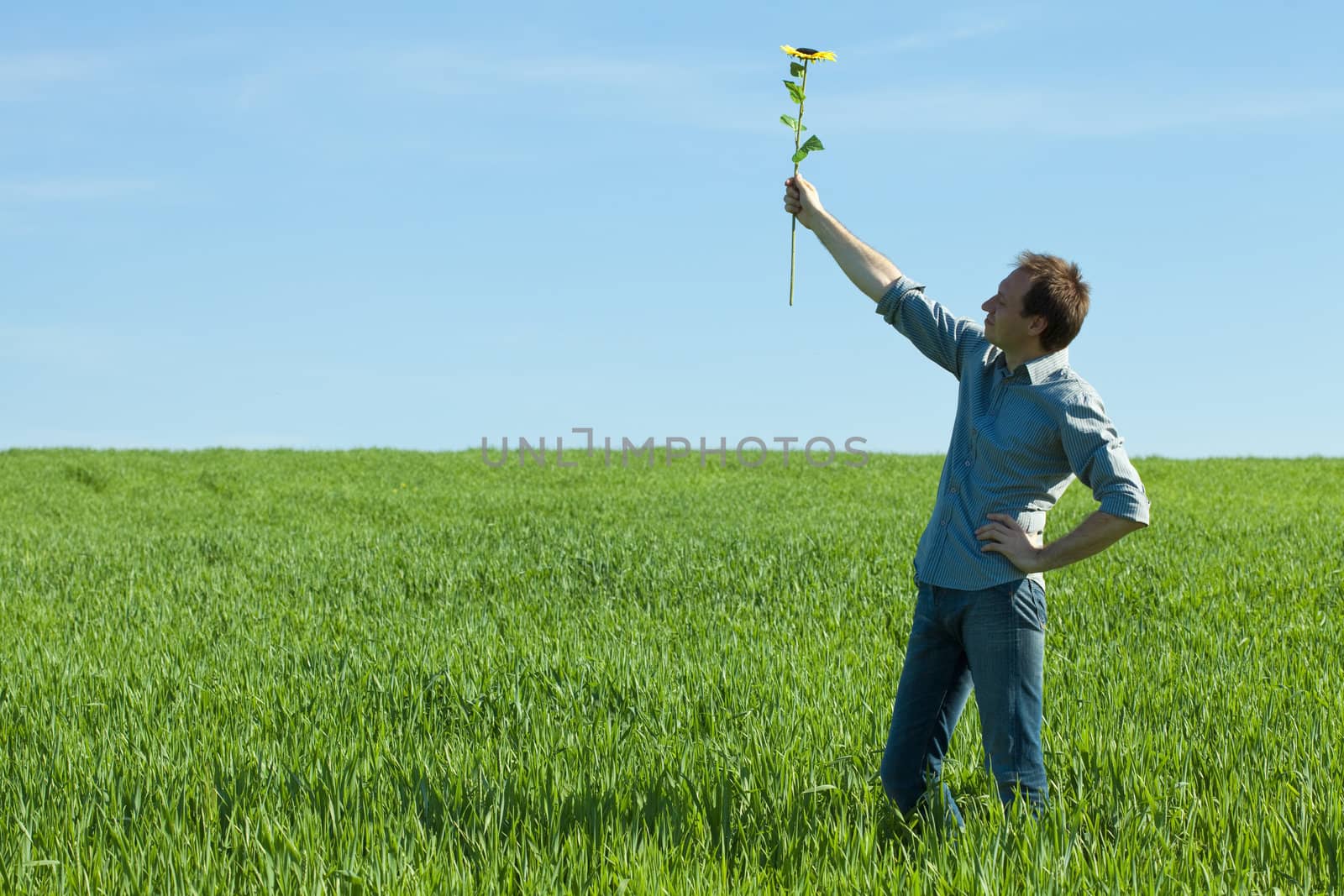 young man standing with a sunflower in the green field 