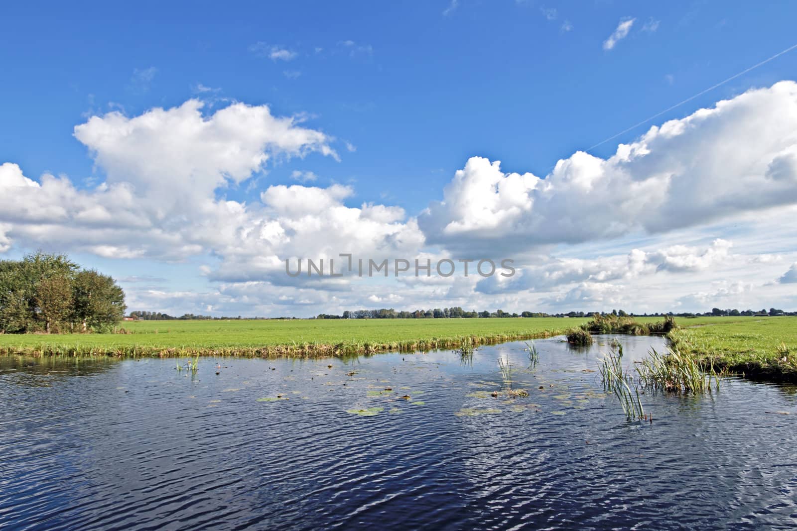 typical wide dutch landscape with meadows, water and cloudscapes in the Netherlands