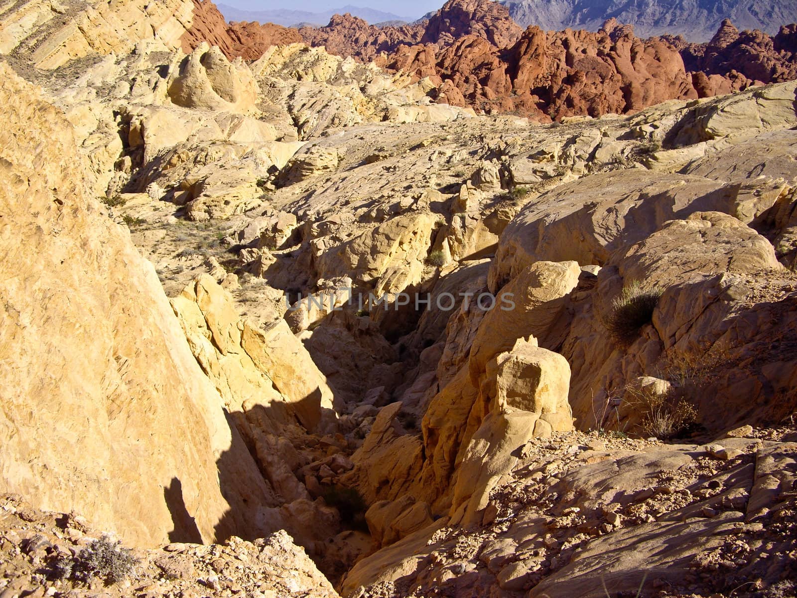Stone Desert of Valley of Fire Nevada USA