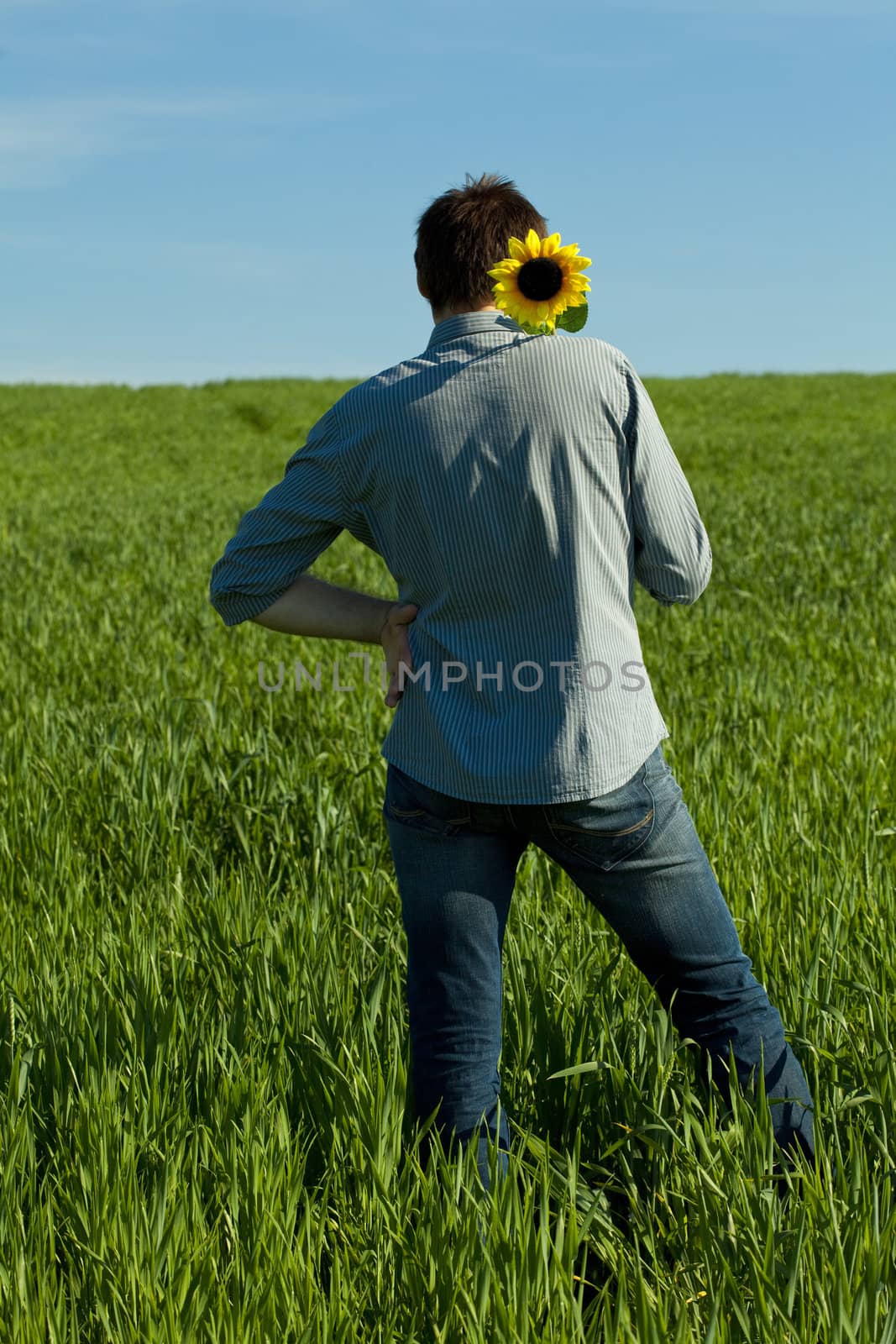 young man standing with a sunflower in the green field 