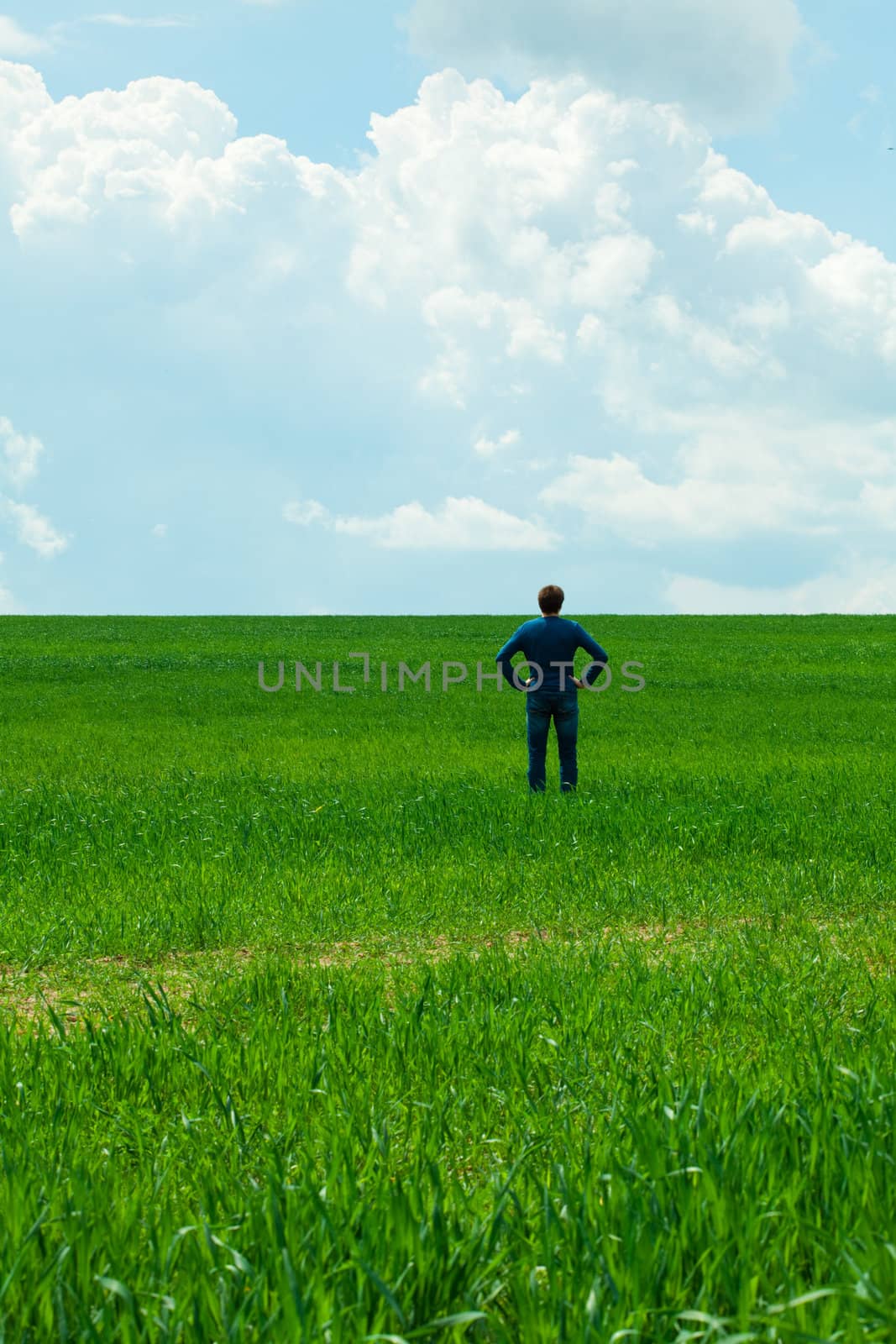 man in the field
