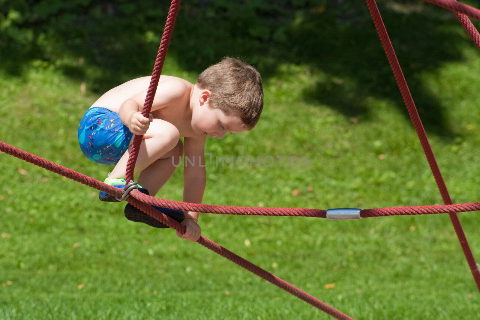 Little boy playing on ropes