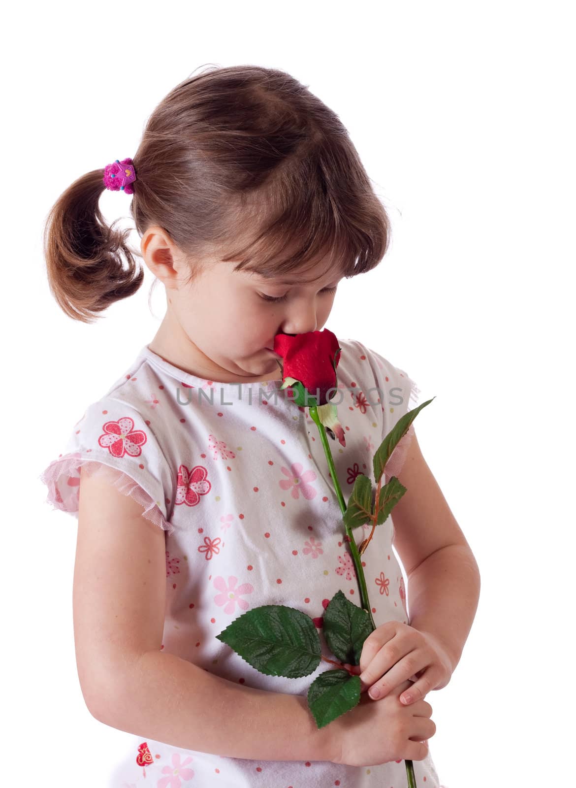 Little girl with a rose by Talanis