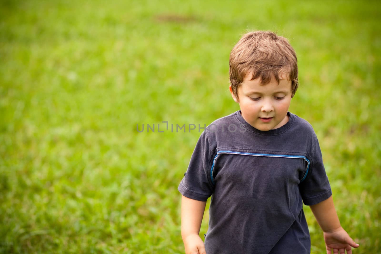 Cute little boy walking in a grass field