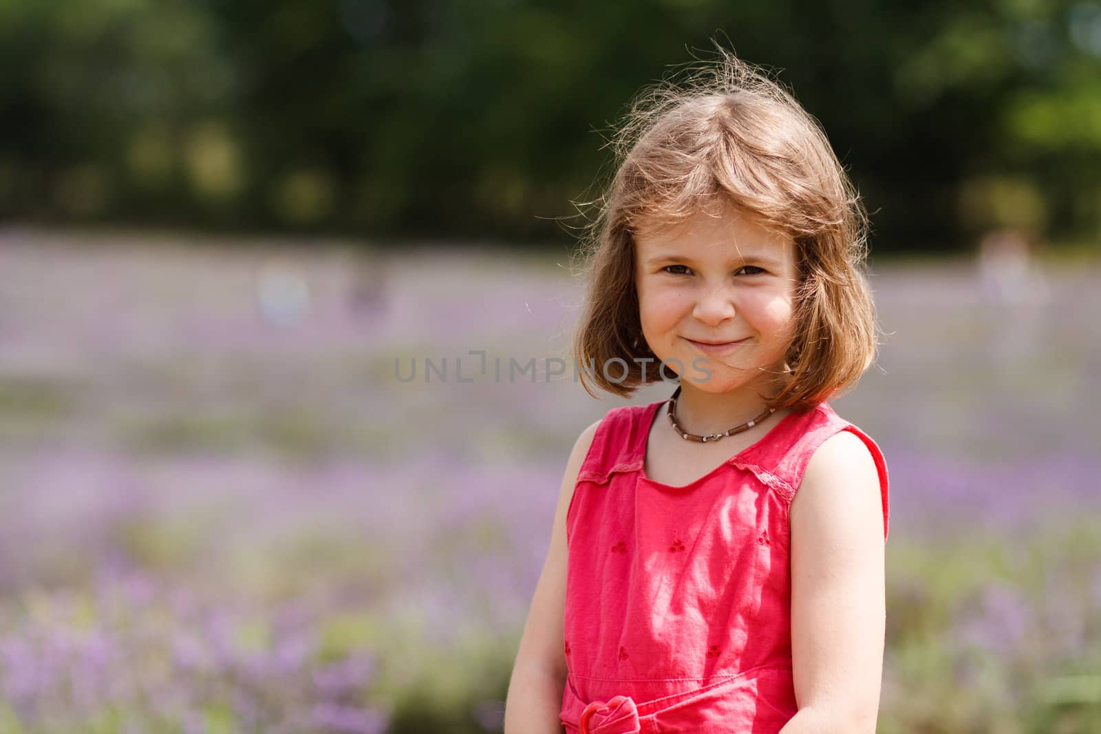 Cute little girl in a lavender field