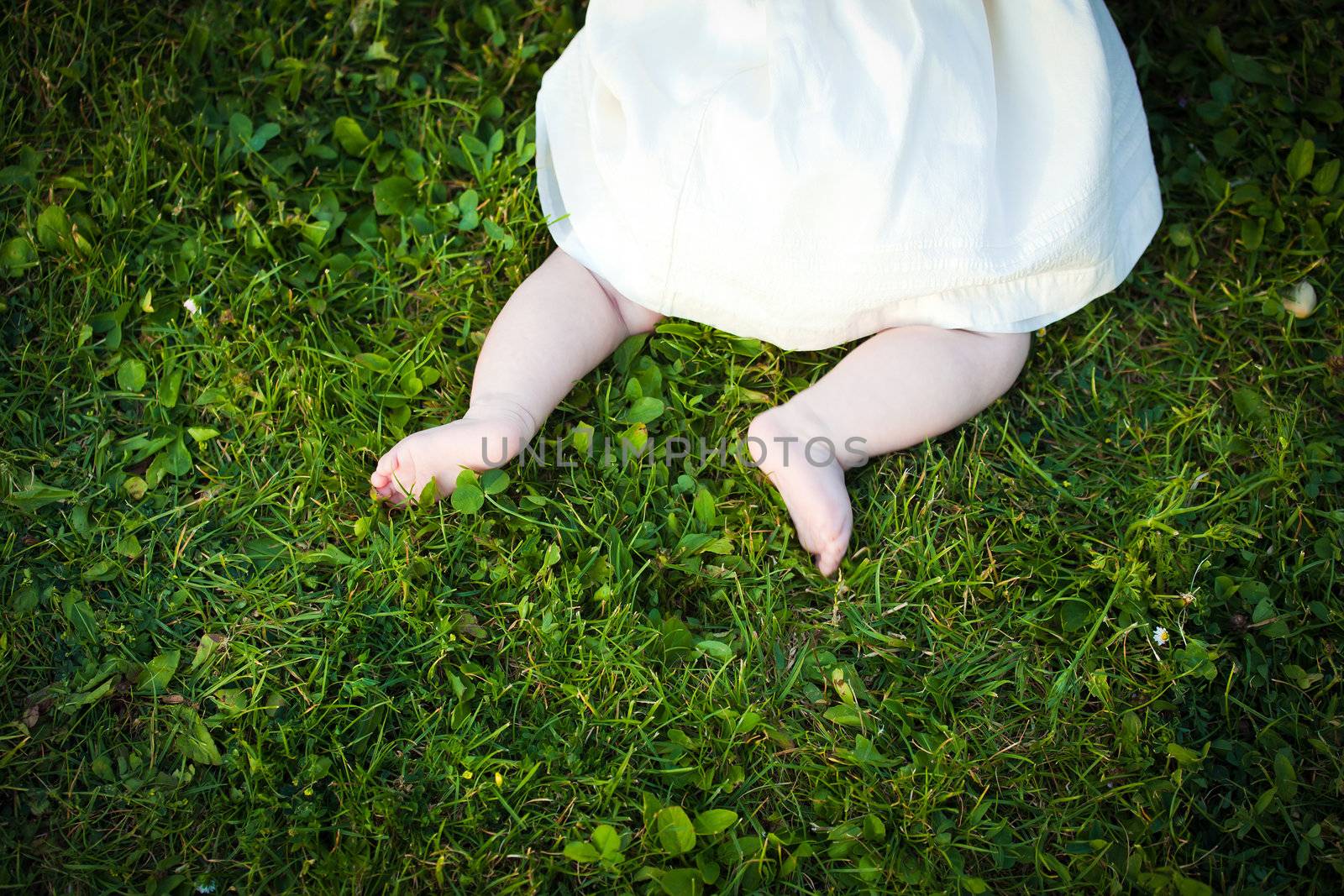  Barefoot baby girl on grass exploring in the park