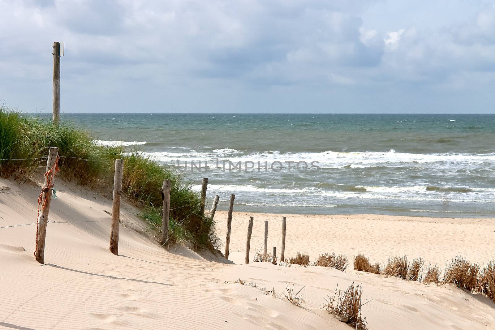 Summer beach in the Netherlands