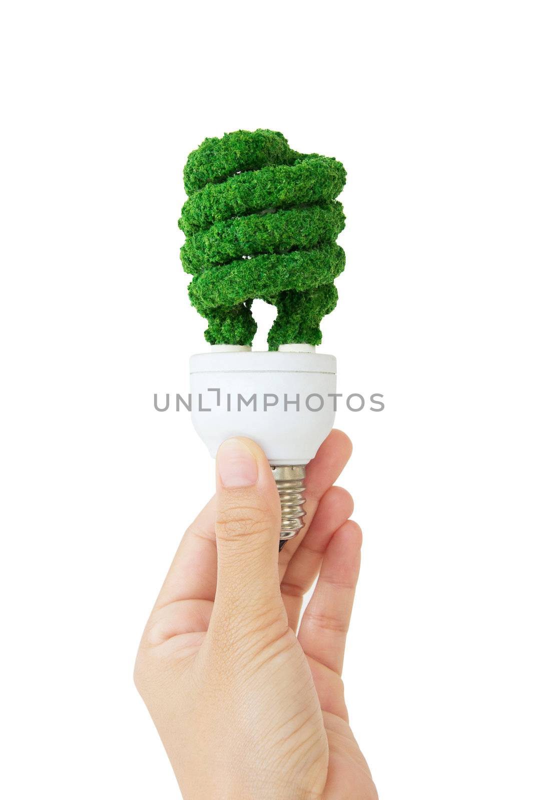 eco bulb by ponsulak