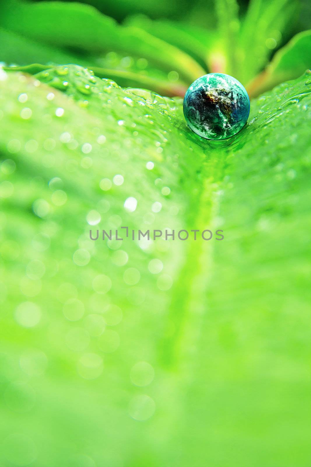 abstract image of small world in nature by ponsulak