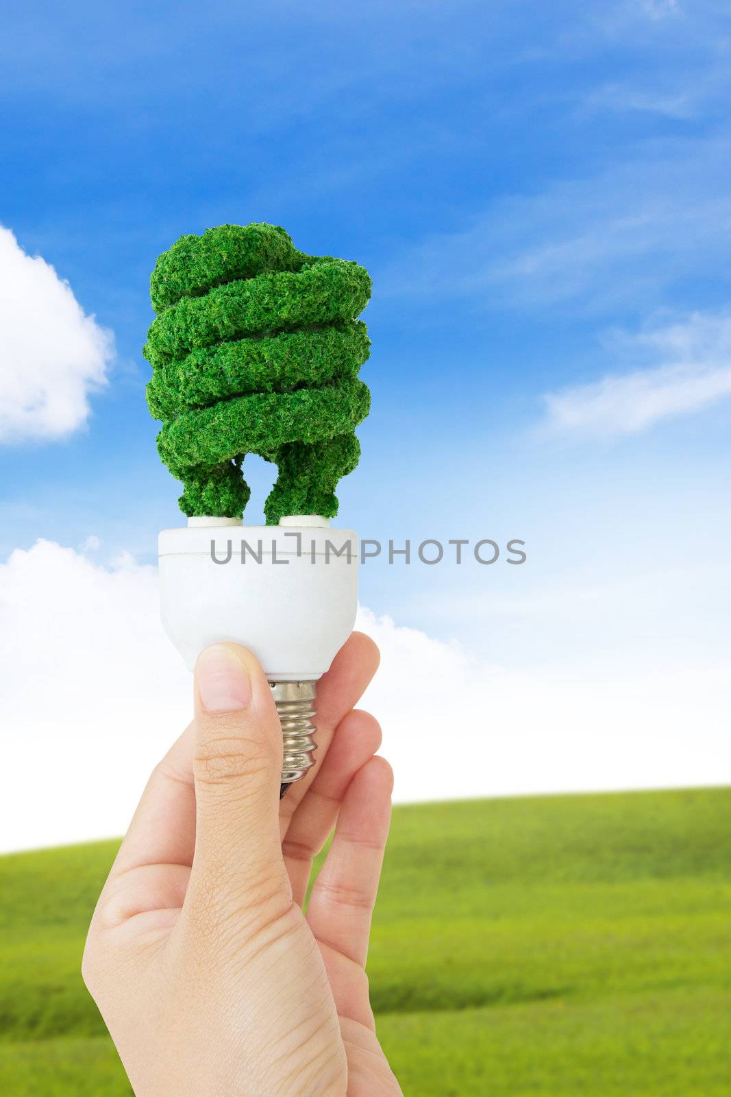 eco light bulb, eco energy concept