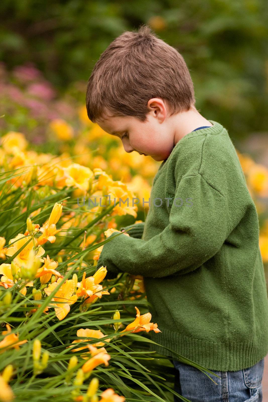 Boy smelling flower by Talanis