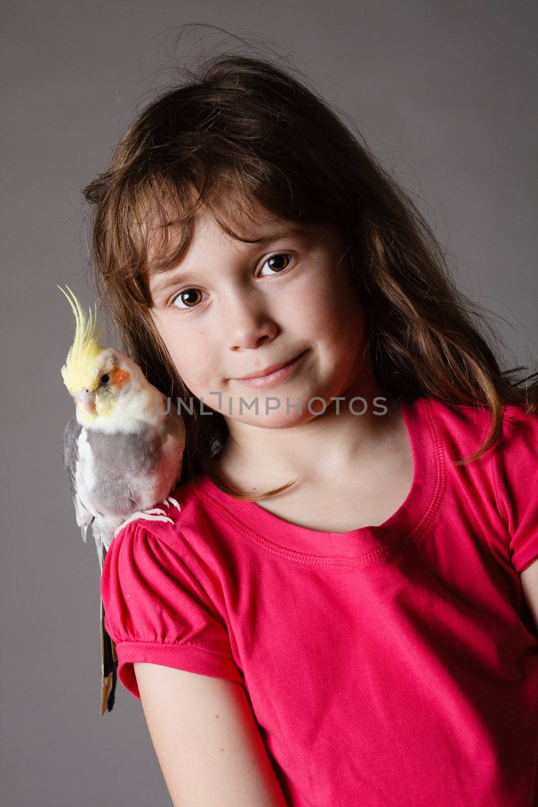 Cute little girl with a pet cockatiel on her shoulder