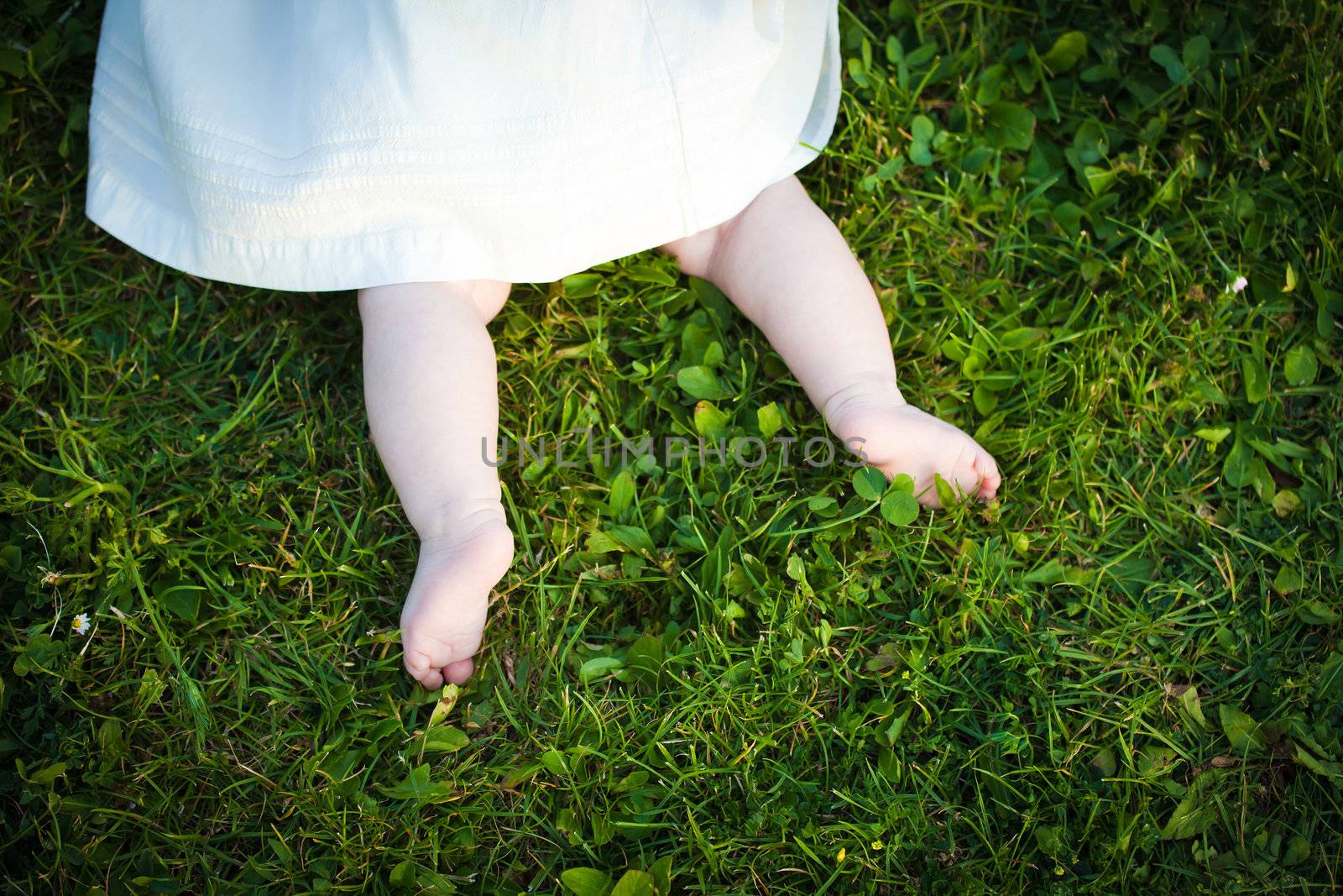  Barefoot baby girl on grass exploring in the park