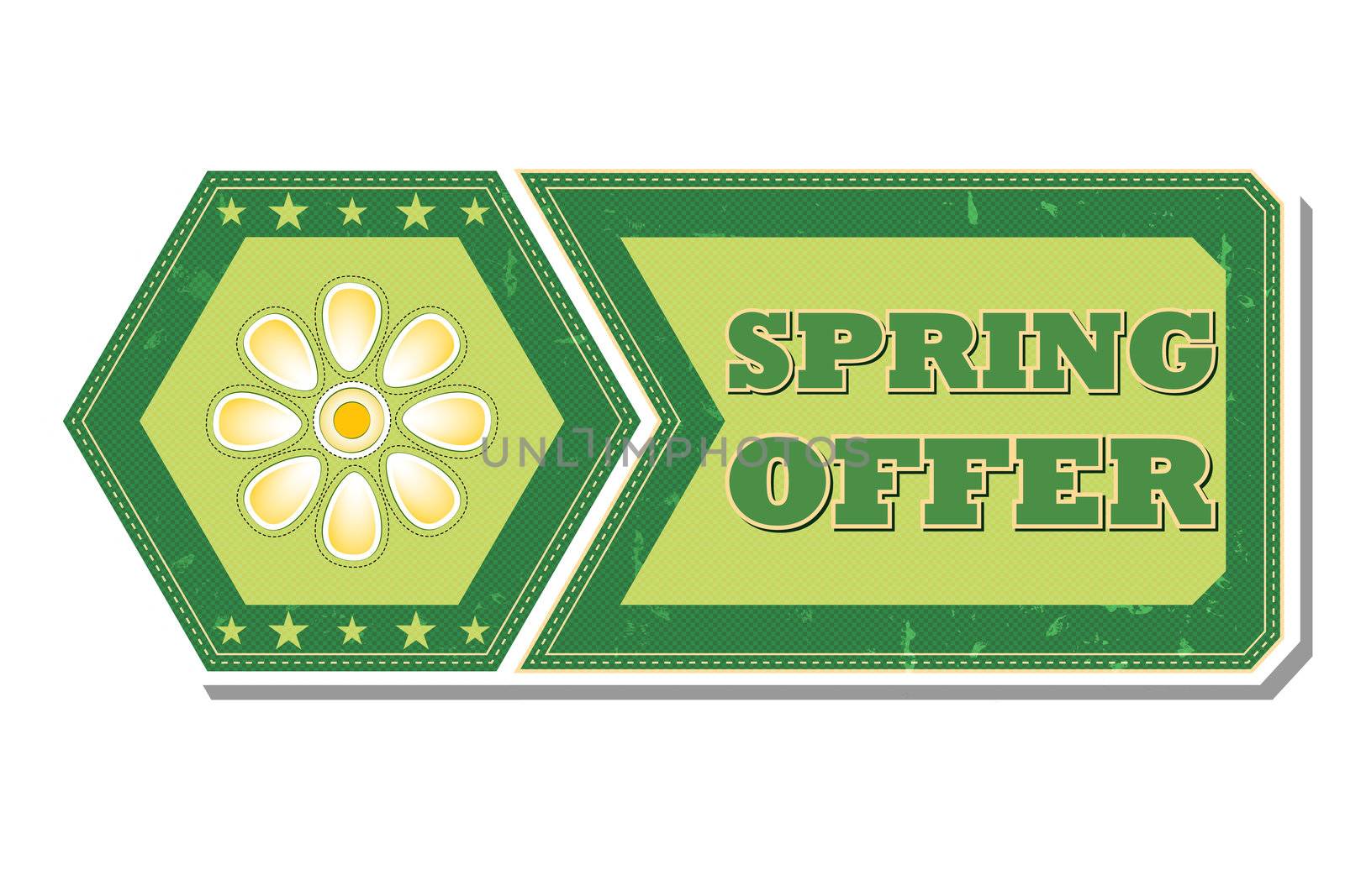 spring offer - retro style green hexagon and flyer label with text, flower and stars, business concept