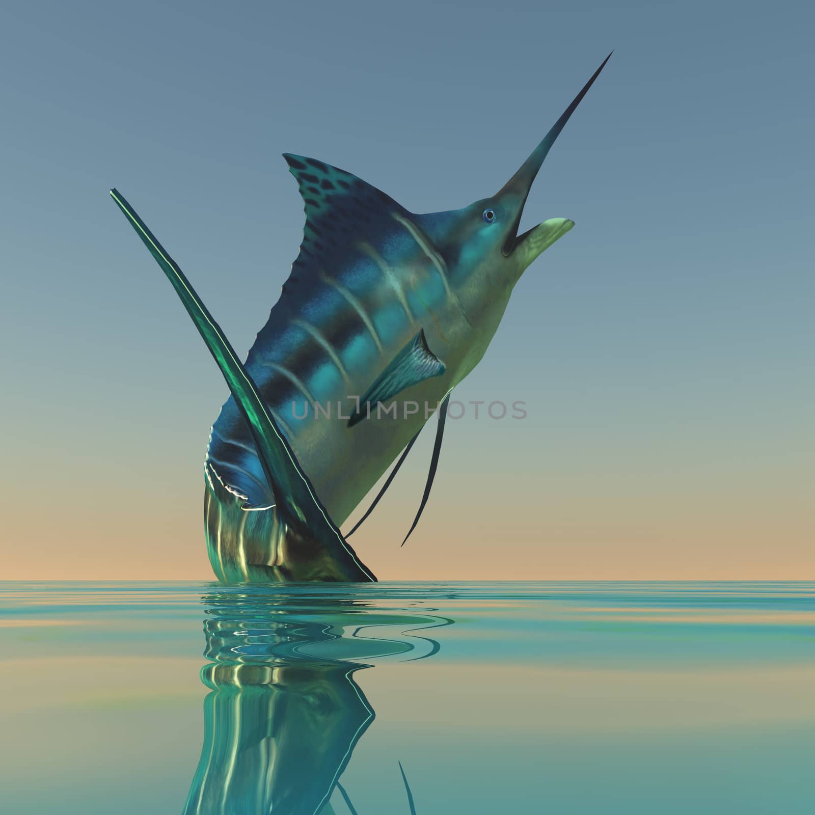 Marlin Sport Fish by Catmando