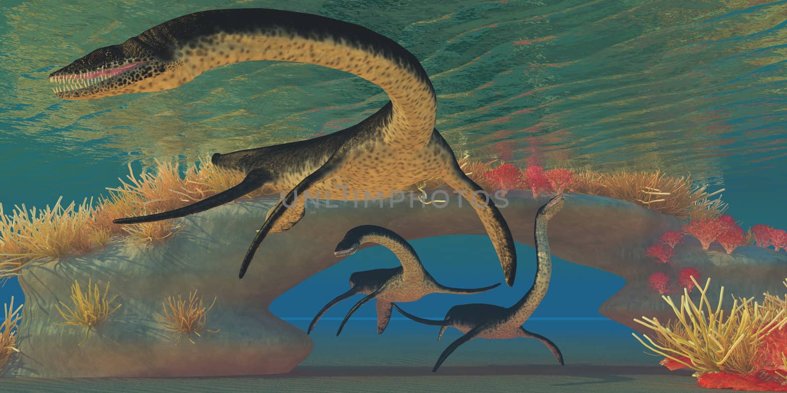 Three Plesiosaurs dinosaurs swim near a natural coral reef bridge in shallow seas.