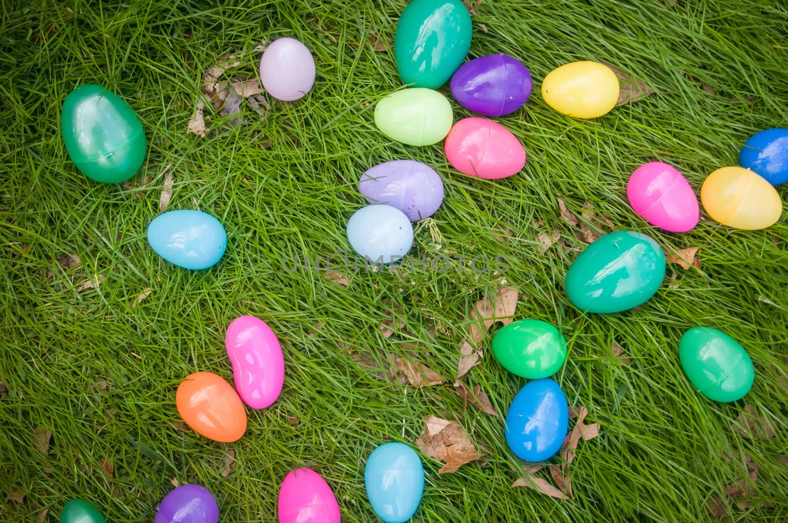 easter eggs in grass