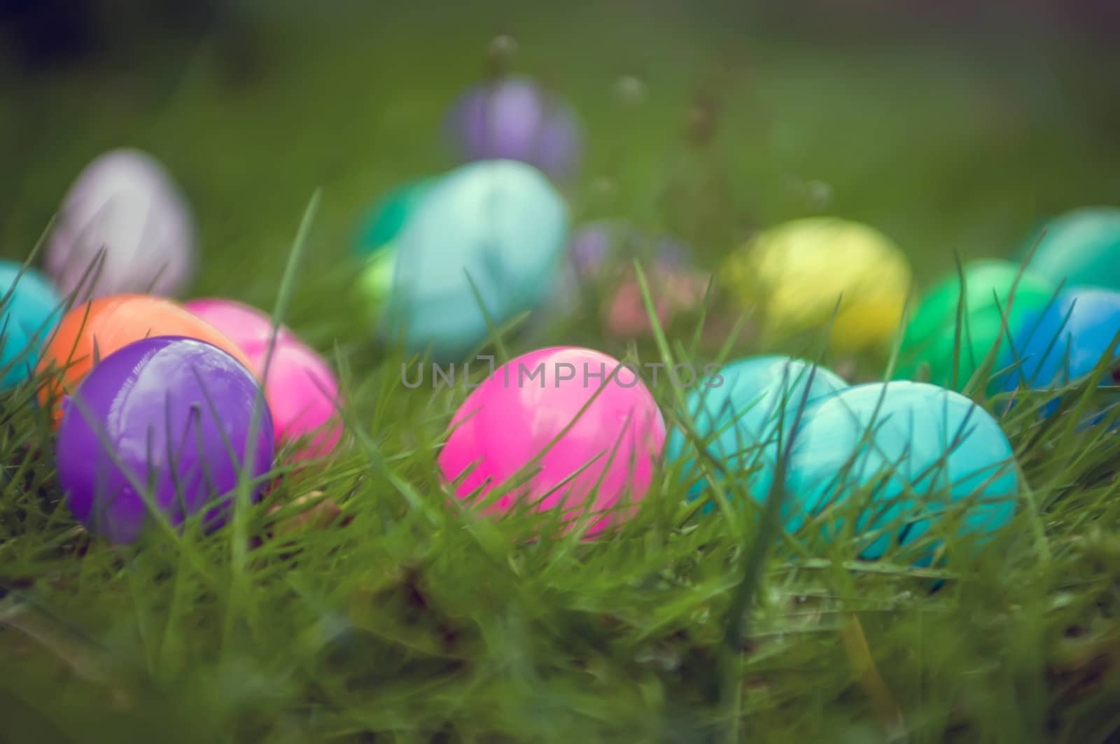 easter eggs in grass by digidreamgrafix