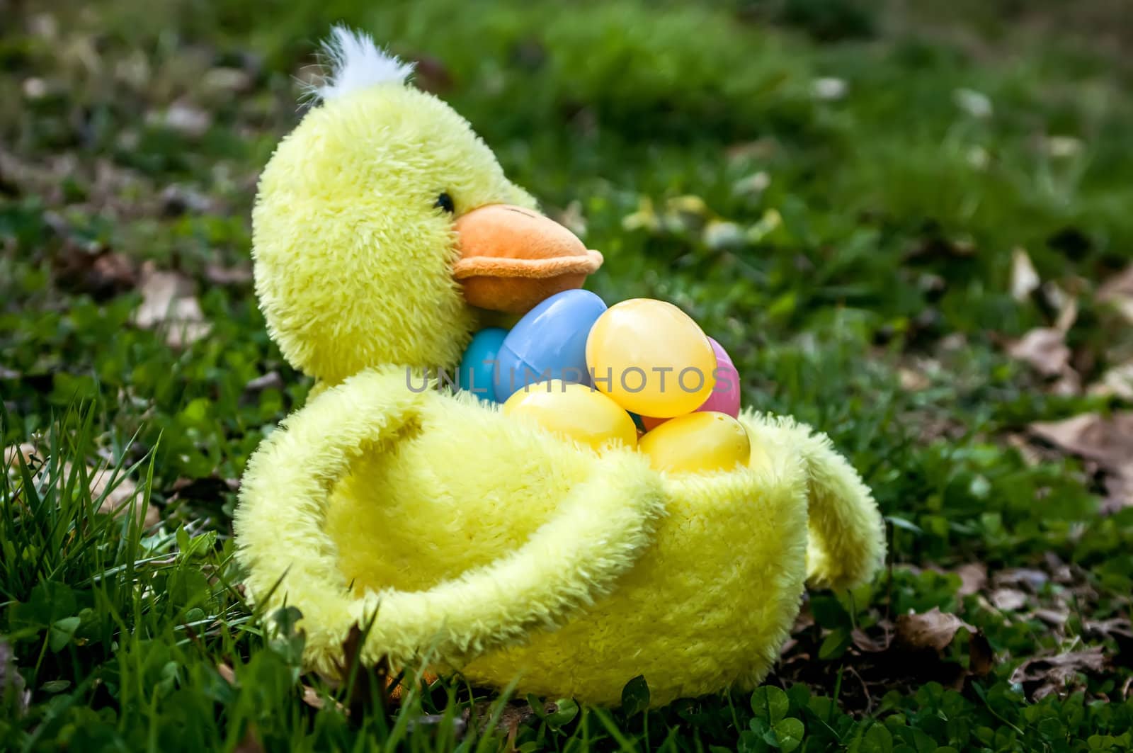 easter duck basket