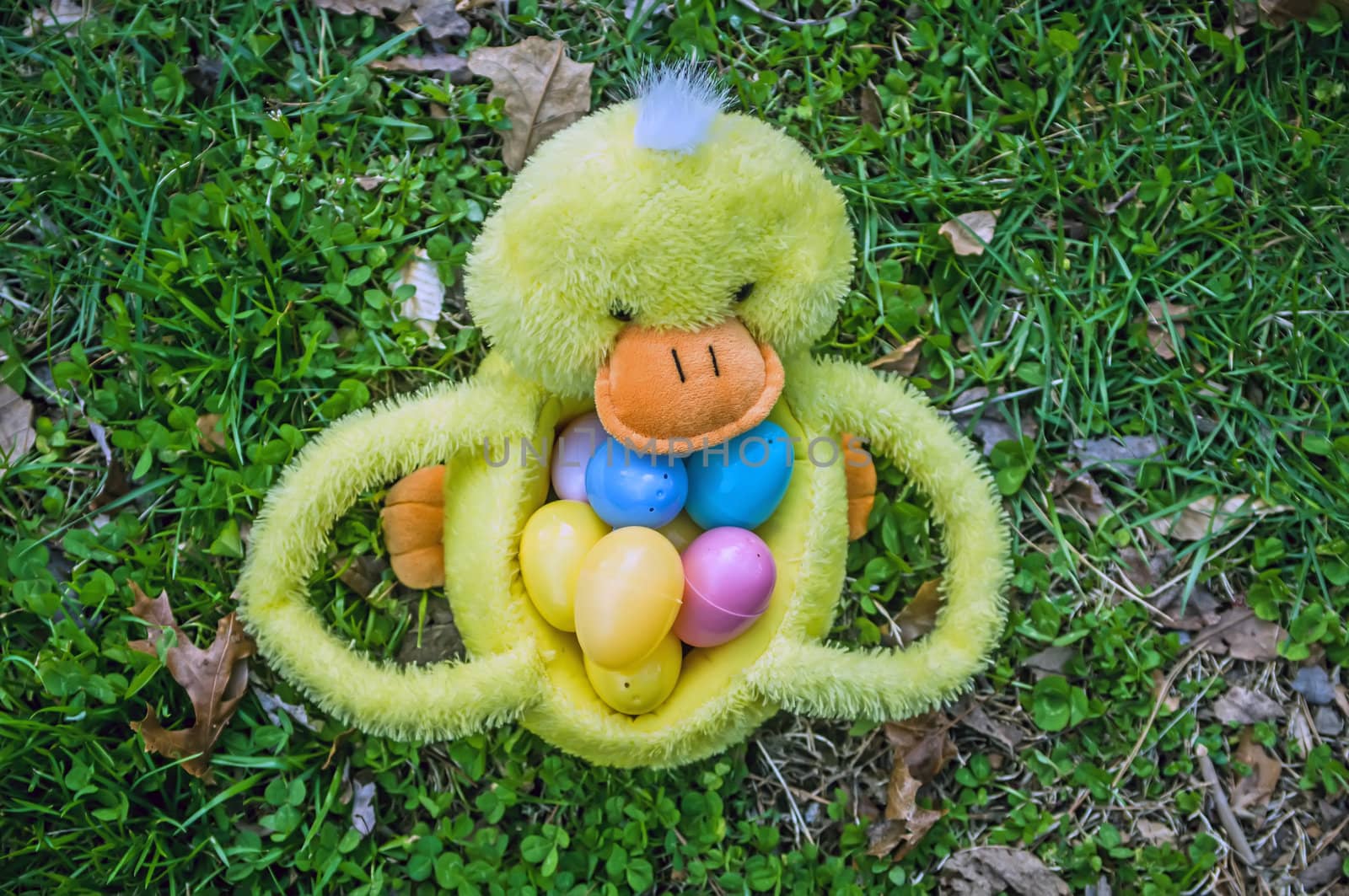 easter duck basket by digidreamgrafix