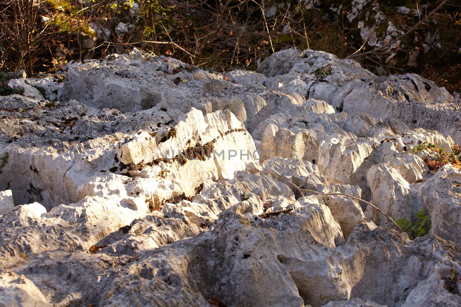 Detail of the Trieste karst'r rocks, Italy