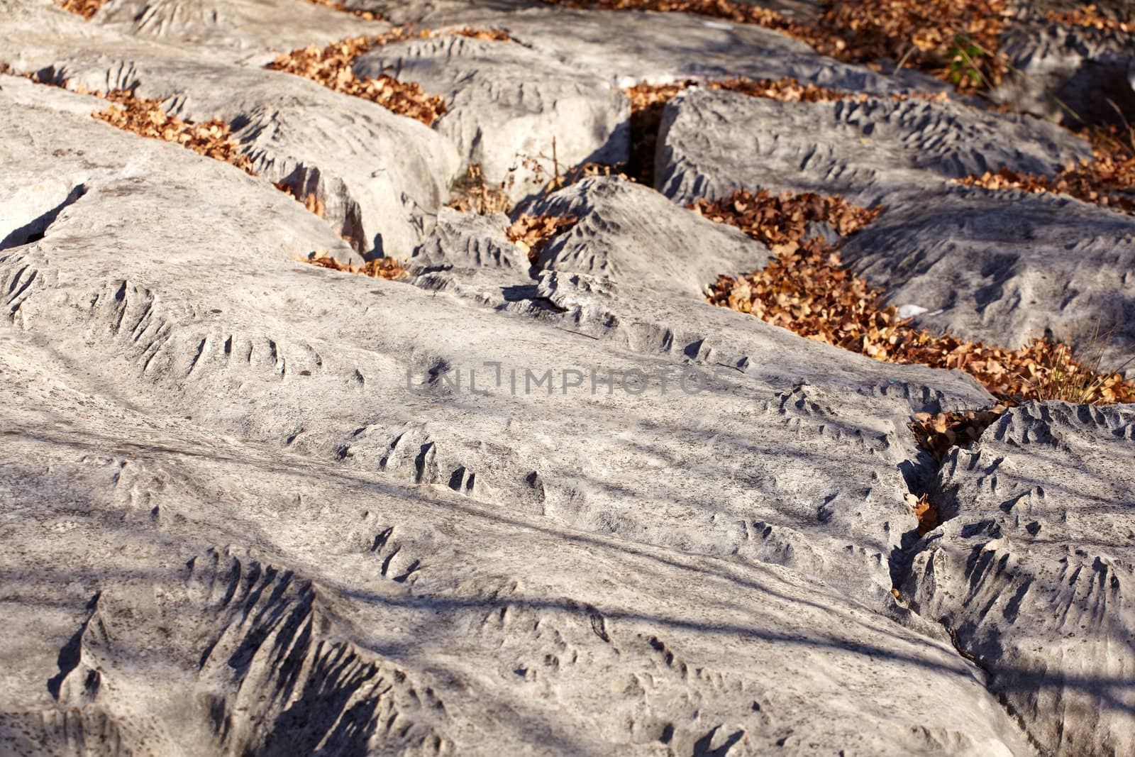 Detail of the Trieste karst'r rocks, Italy