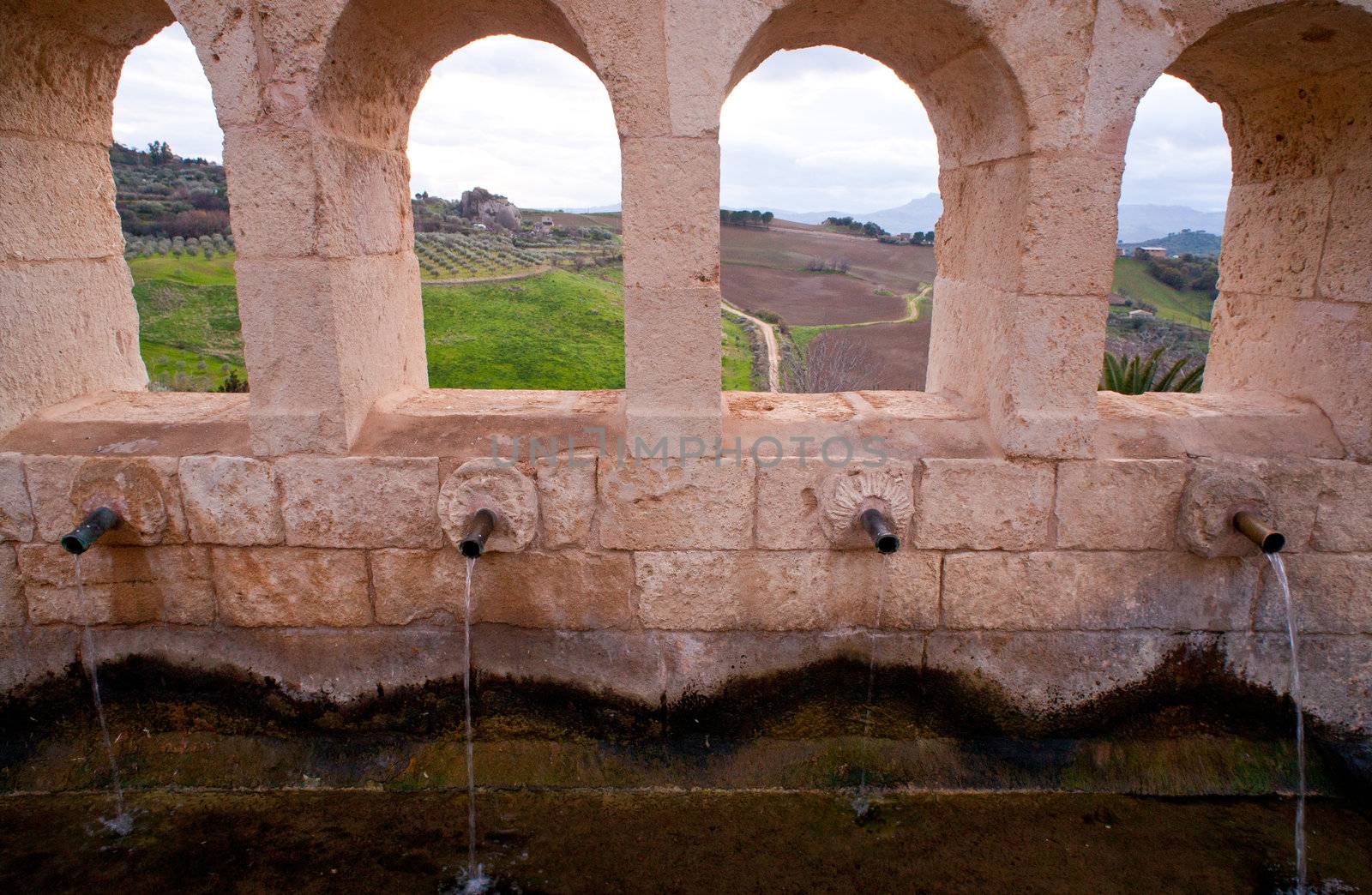 Detail of Granfonte, Baroque fountain in Leonforte, Sicily - Italy