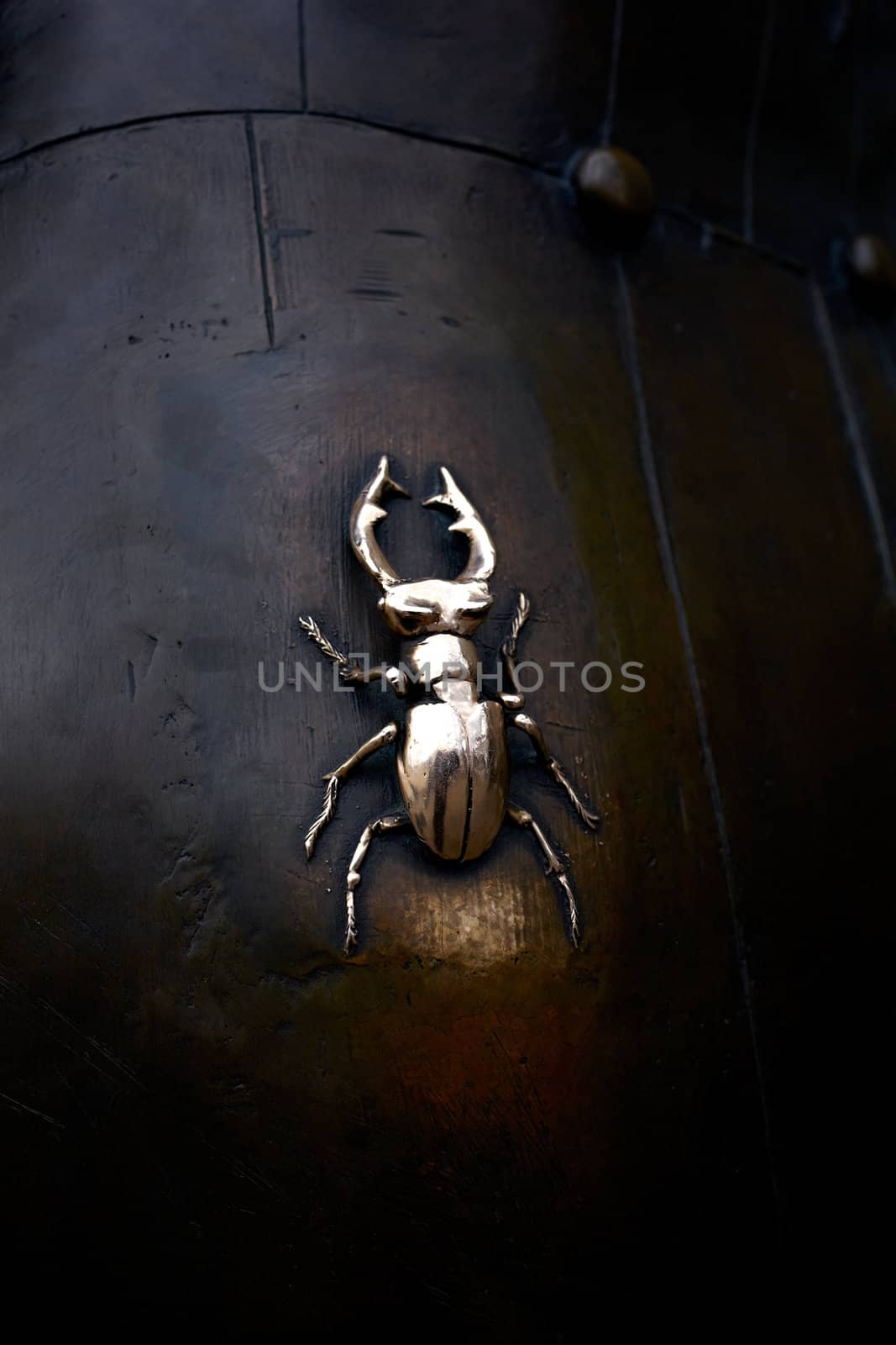 Beetle, Detail of a statue in Kiev