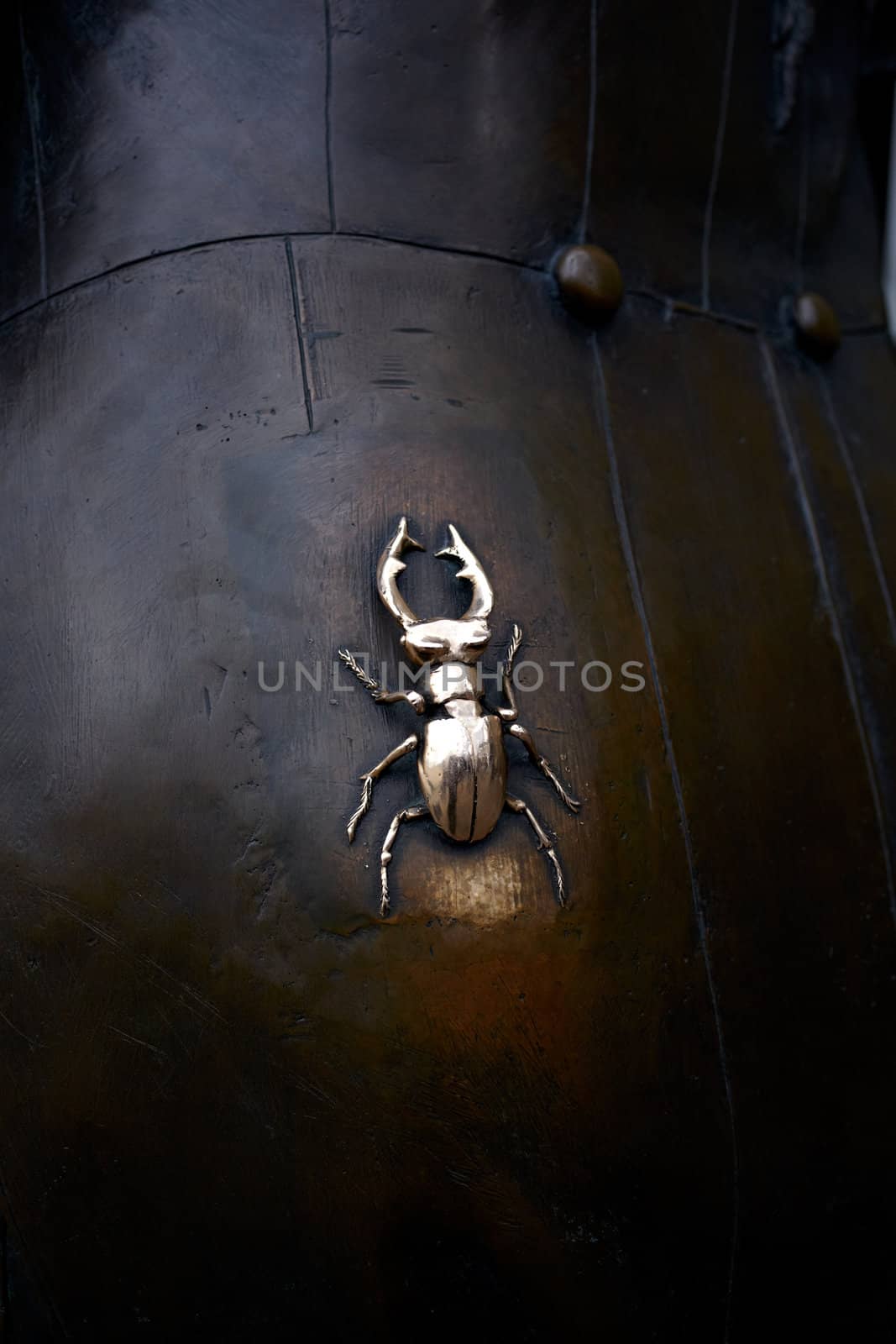 Beetle, Detail of a statue in Kiev