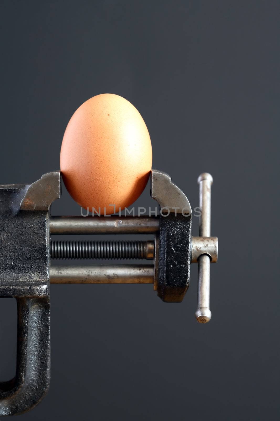 Pressure concept. Hen's egg pressured in a bench vice on dark background