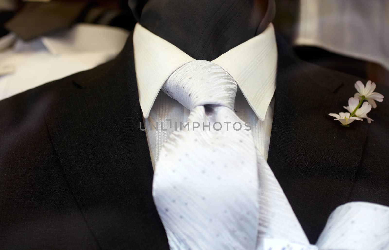 Chic and stylish suit for elegant man