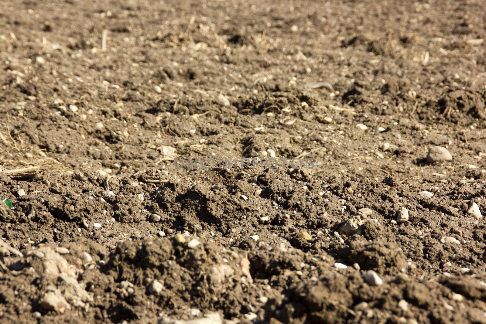 Arable land