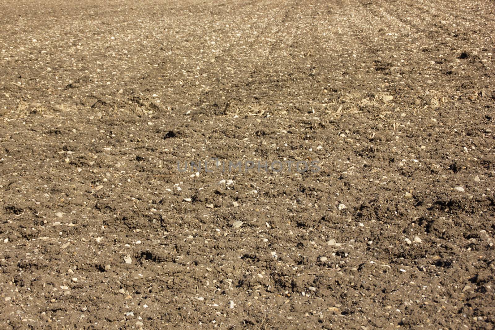 Arable land