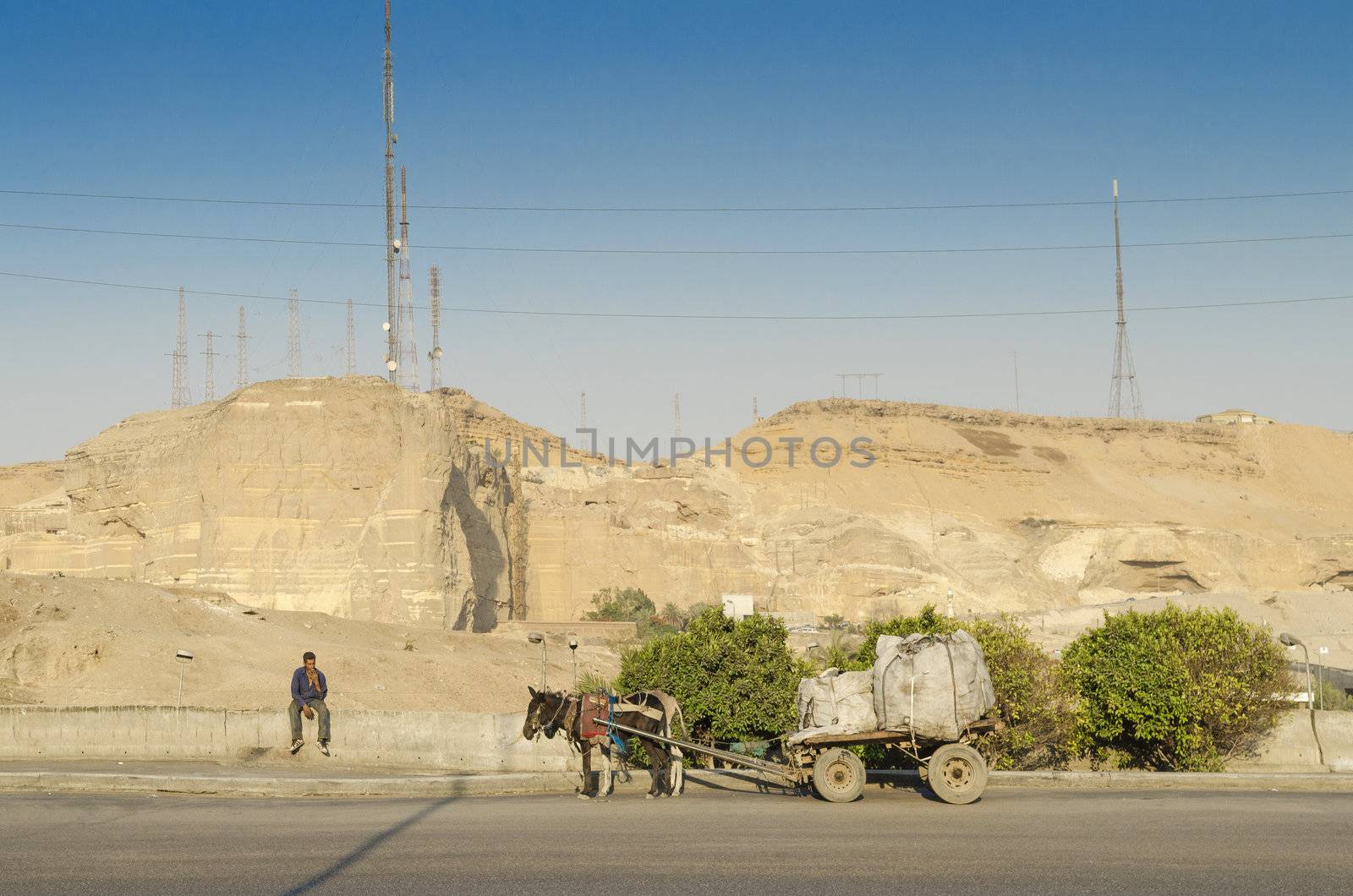 cairo street in egypt with man and horse cart