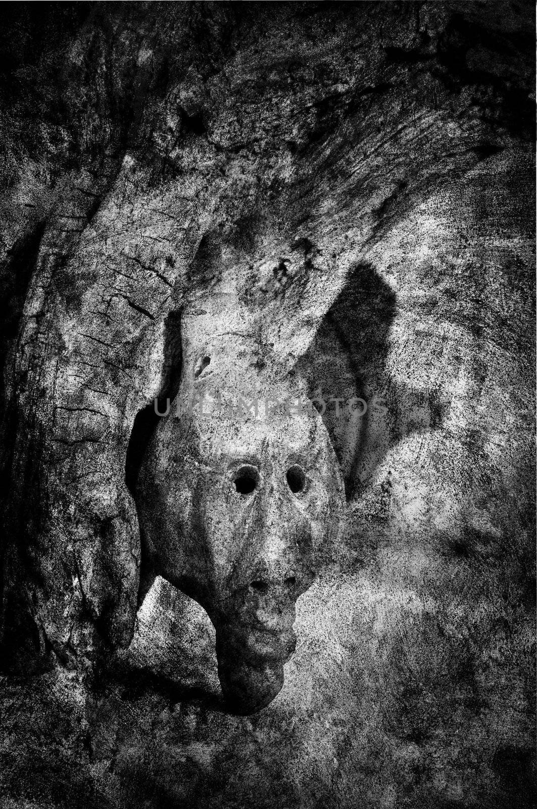 Face of a shaman in textured black and white.